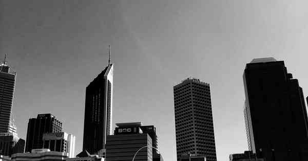 外国语单招大数据的行业文章