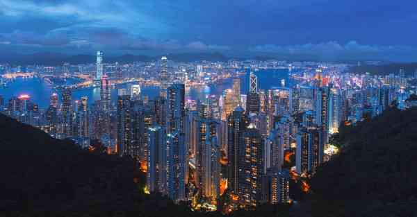 ai论文写作助手