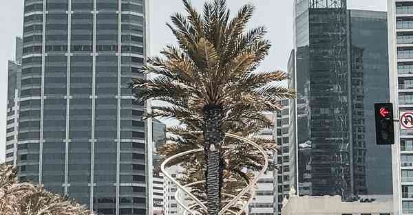 智能机器人菲亚