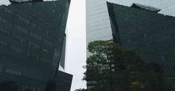 农业大数据平台建设专项债