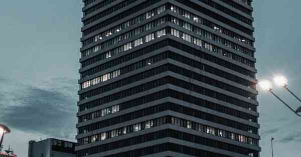 智能机器人知识的组织包括