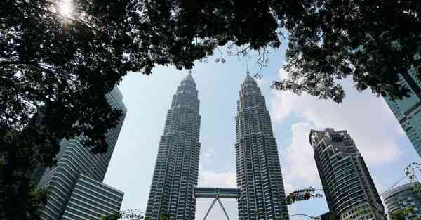 智能推草机器人：改变草坪维护行业的未来