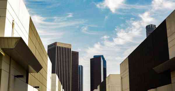 外国语单招大数据的行业文章