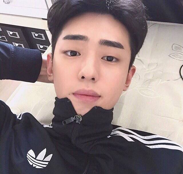 宇文全霞光