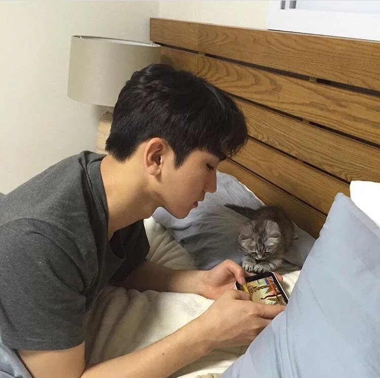 吕韦顺宇