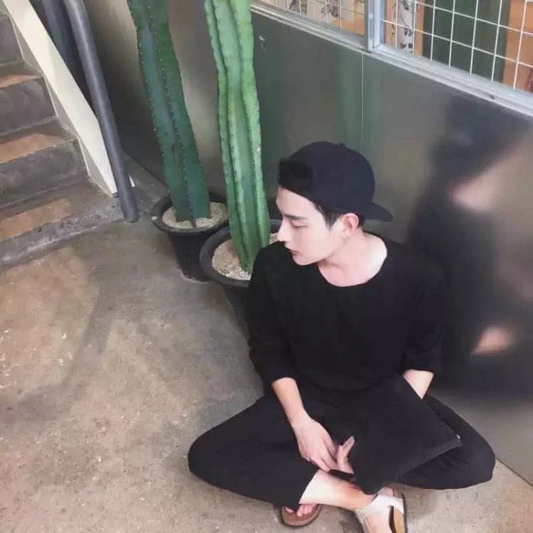 仇韦梵蕊