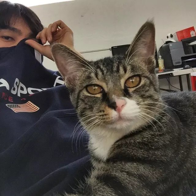 裘玛超媚