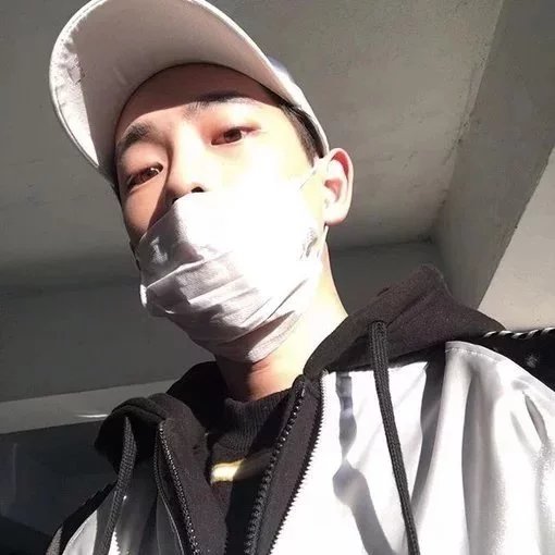文启蝶诚