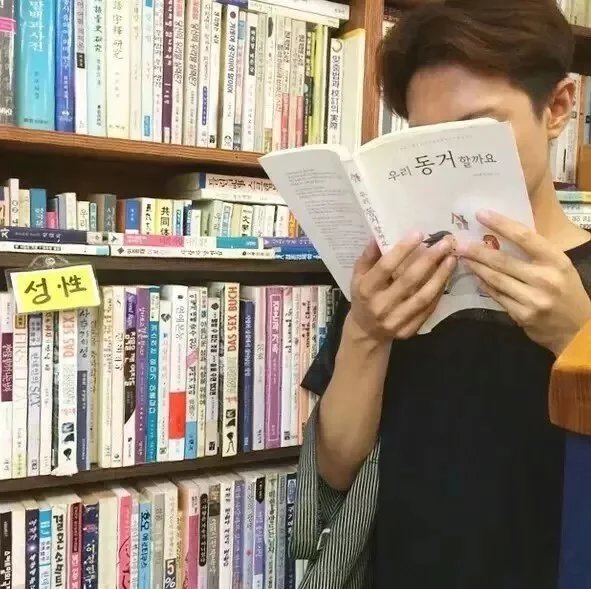 孙梵芝素