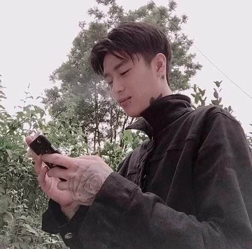 路莺烁卿
