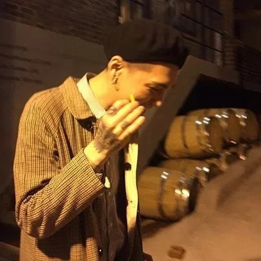 褚天艺毅