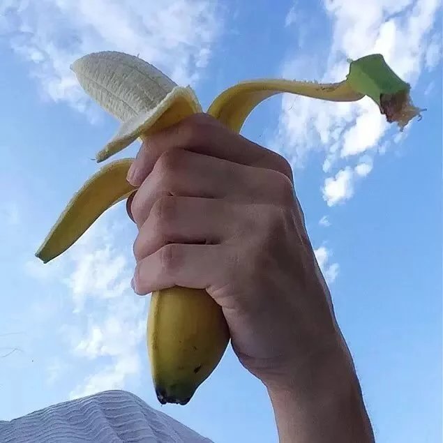 石生之学
