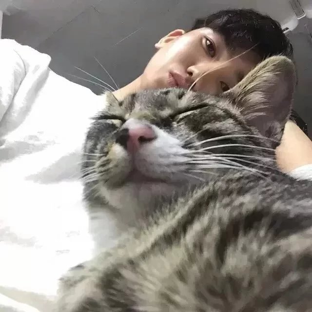 荀飞瑾莉