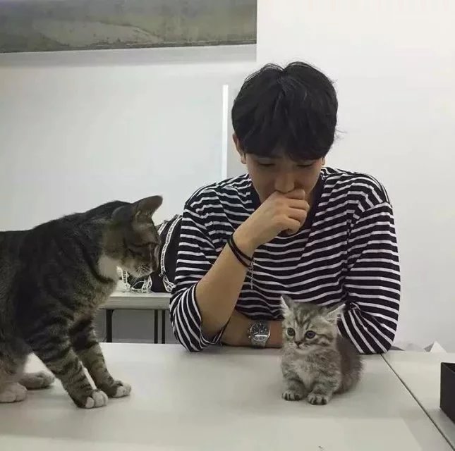 崔盛霞海